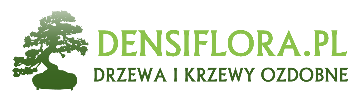 densiflora-logo-nowe2-b